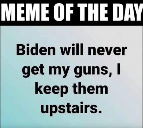 Biden-guns