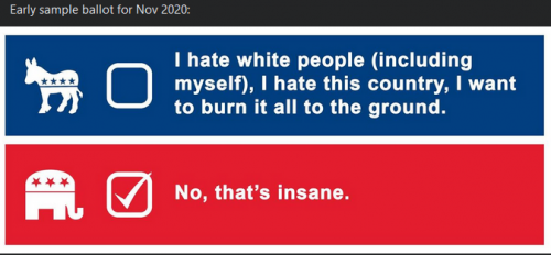 2020-sample-ballot