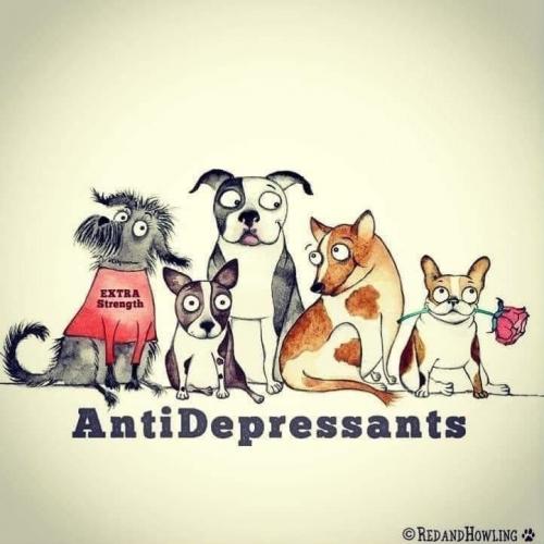 14E7A36D-1F2B-4C0C-9B0A-1B2F31D5AC4C