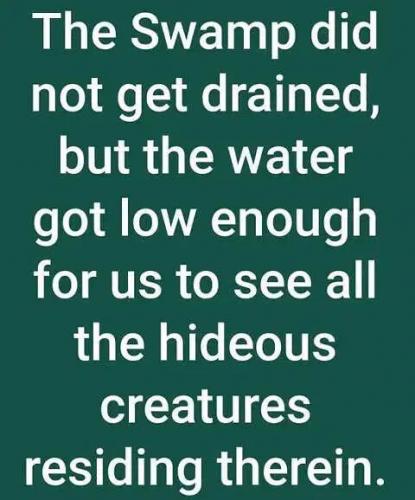 6E1A72F0-9531-4B00-9361-D77AD1374186