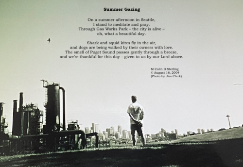 Summer Gazing