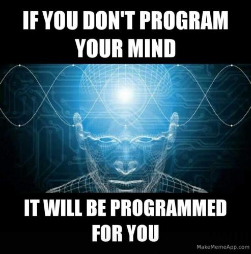 97182951_10157603302218842_6525384340124205056_n