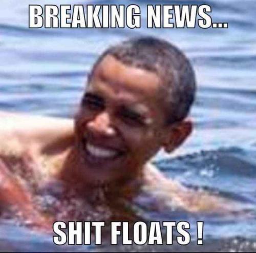 SHIT FLOATS