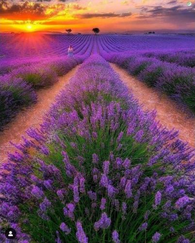 179402336_10158438728613842_652986727483541949_n