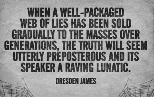 dresden james 12893447759024357436