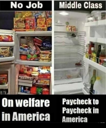 F1114B82-BCE9-4D02-9A98-18D5C55805FF