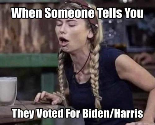 vote biden harris