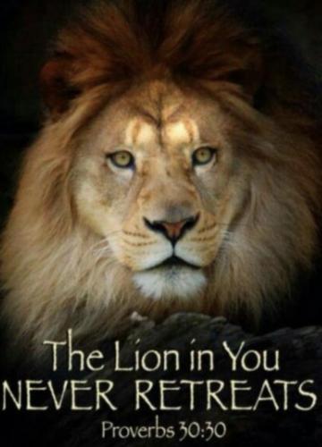 7876E905-03EB-46BA-A44B-309D6266E1A6