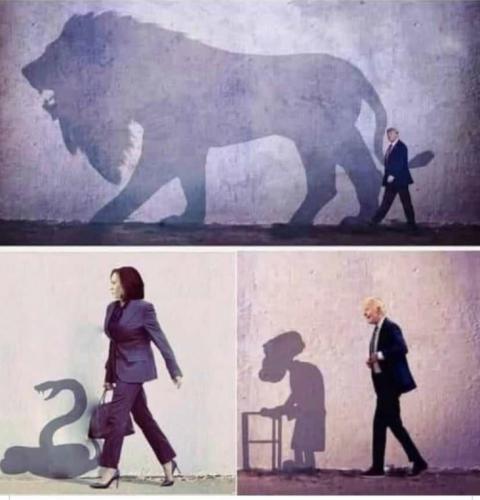 5DF3B85A-B34A-43B0-B6FA-A04B98A70F6F