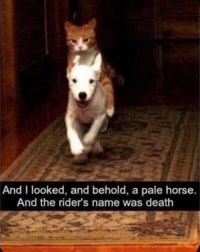 180668503_10158444397698842_8822402558811901723_n