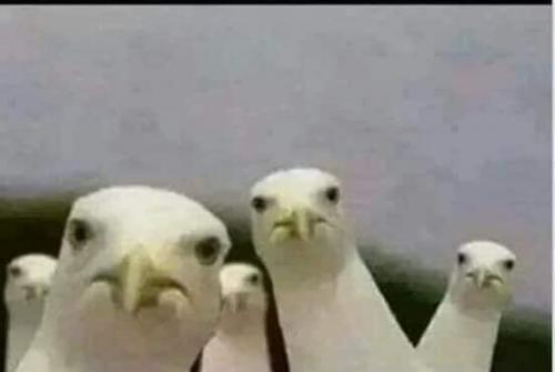 33ACCC30-959E-478B-B6B7-467B4C124FD1