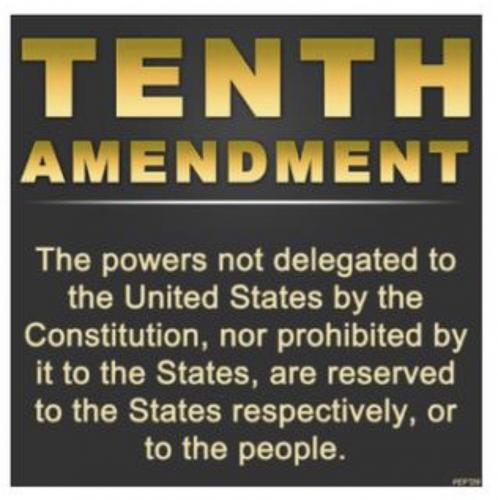 7387F731-EF75-4A65-9283-022513D5B5CE