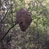 122015363_10158003574728842_6172373816392420596_n