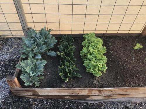 DDEE3A1B-AAA1-43A5-8143-24E234B9A2C2