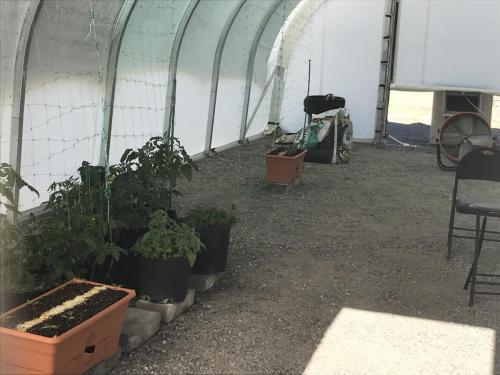 8CD619D7-DE36-45BC-BFD1-7F83C36646E5