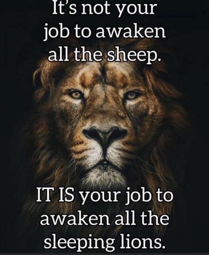 all the sheep 2134897840127351285904