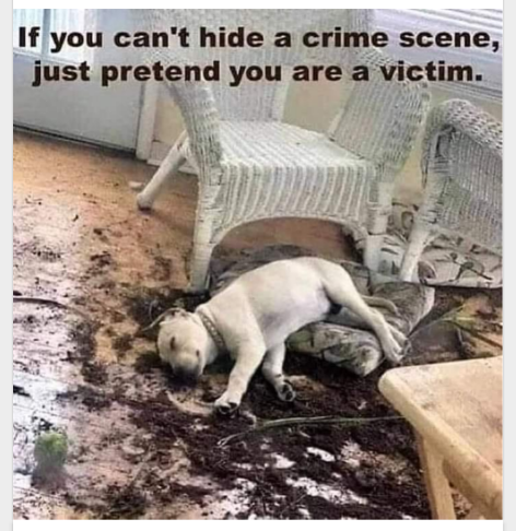 Screenshot_20210711-050423