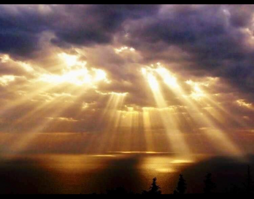 Screenshot_20210719-201648-566