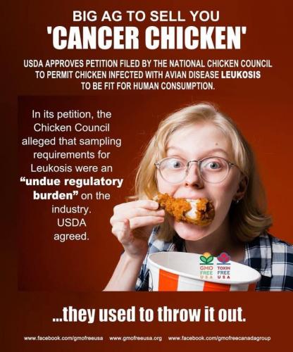 5A5806E0-DBF8-40BD-92F1-35E7BFA8381B