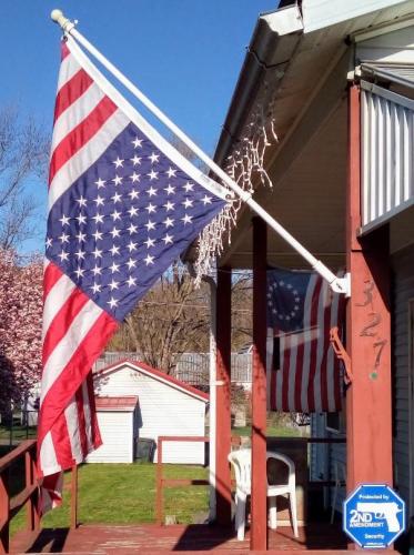 CONSTITUTIONAL CRISIS (2)