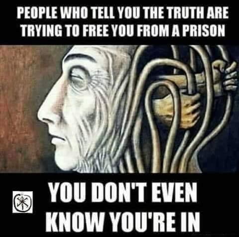 24E4E91B-2269-4874-823C-035A0B6ED395