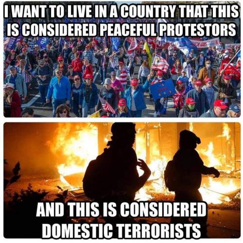 Domestic Terrorism â€¢