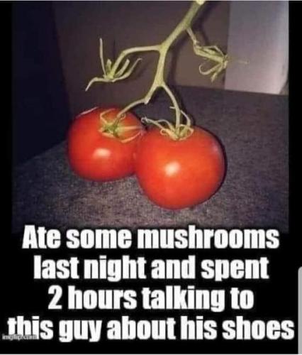 222141431_10220866461039835_1856227773075969156_n