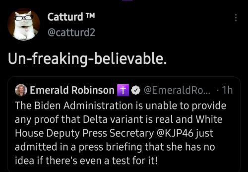 catturd 9823042317590845