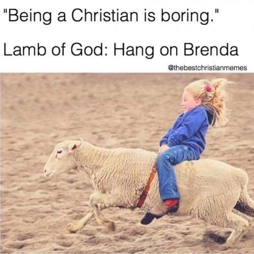 IMG_20210713_064527_648