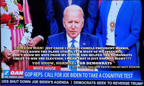 1-1-A-A-A-A-BIDEN-PSYCH-COUCH-2