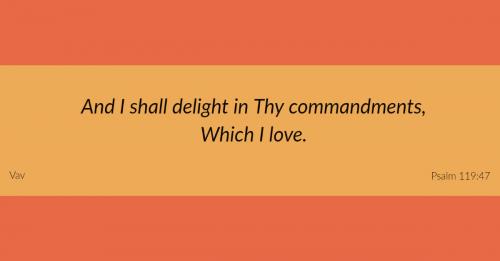 ZZZ Psalm 119 047