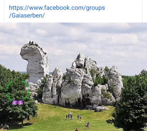 Screenshot_20210727-215927-710