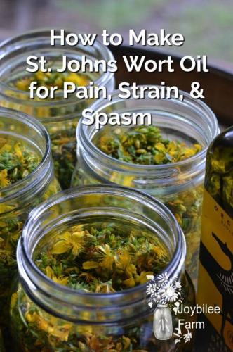How-to-Make-St.-Johns-Wort-Oil-681x1024