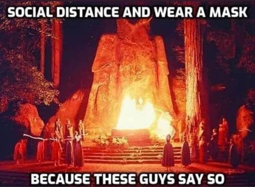 221009822_3845277498917499_5413112556389408663_n