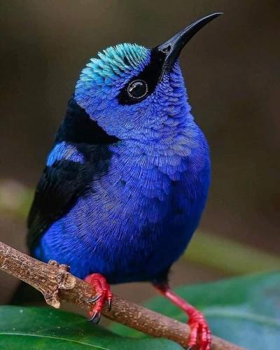 118014264_10157857245418842_2793804925521353434_n