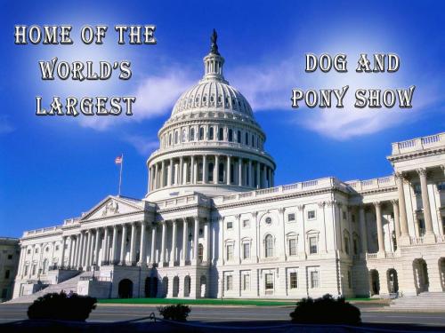 dog and pony