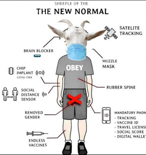 -5046614885680654719_121