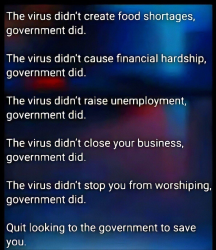 the government