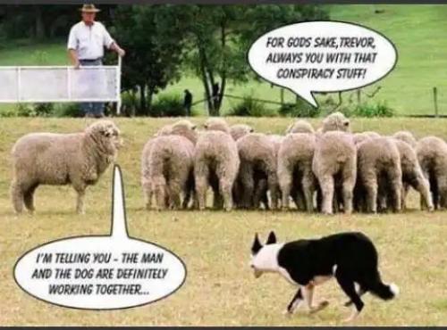 D76A4C3A-B718-475A-8E31-F13F74898555