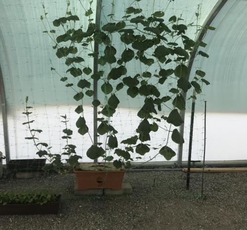 5AEDA68D-6419-4A0B-BC4B-CF5F44D4CA68