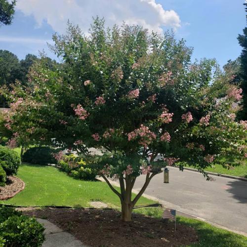 IMG_20210711_150757_907