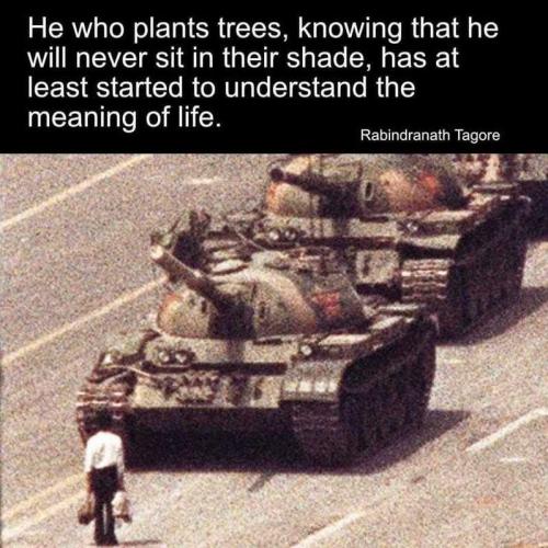 d74ughtfWYstQoWnhNDo_22_1cc8faecab675c23bc18213145a92e1a_image