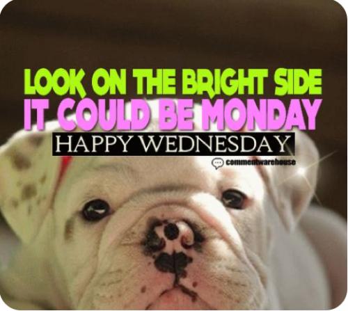 54C586A1-D61D-4EFC-B1BB-A25FAA28C873