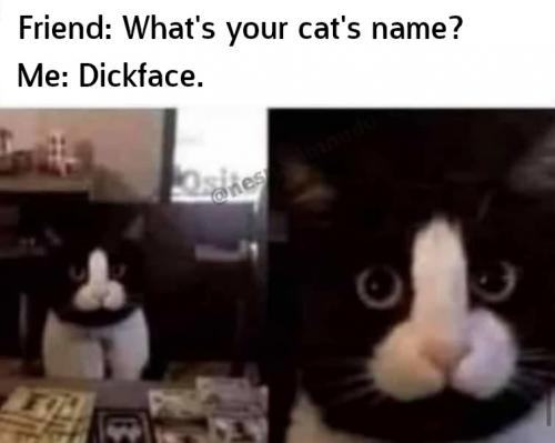 facename