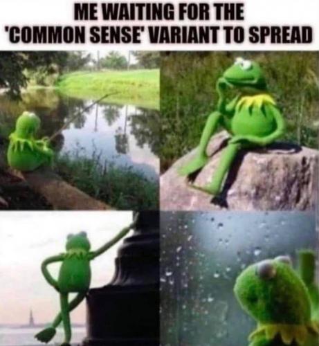 2297F084-8486-4E40-930C-F00A3305C068