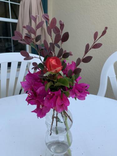 0F495DEC-5CDC-45FC-9EB8-91E8480AA926