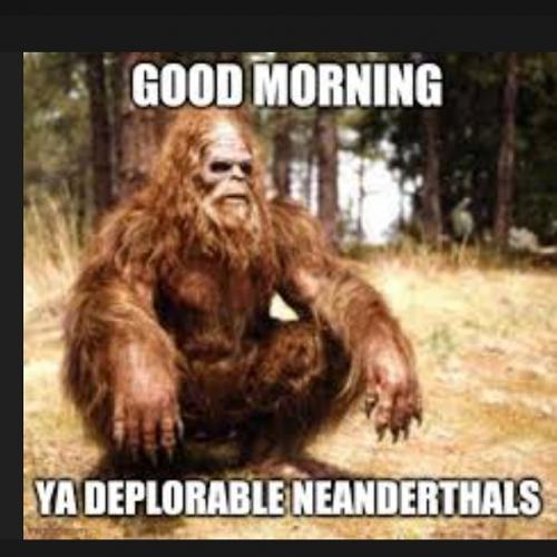 IMG_20210728_093653_992