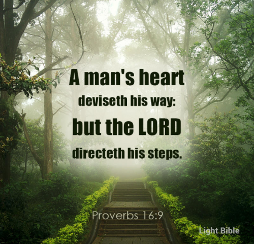 Screenshot_20210601-113259~2