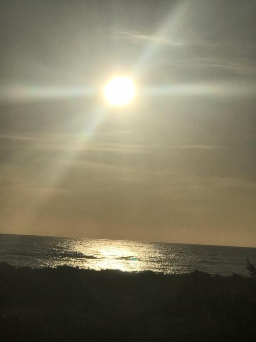 EAD890CB-9795-4645-8BAB-A3066397FA7F