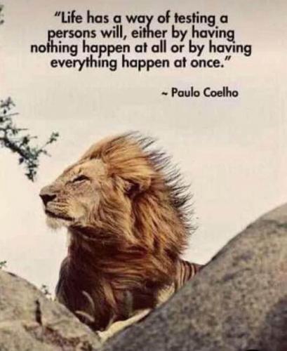 DAA81308-EC33-47B2-BF43-FAB6D7FB785D